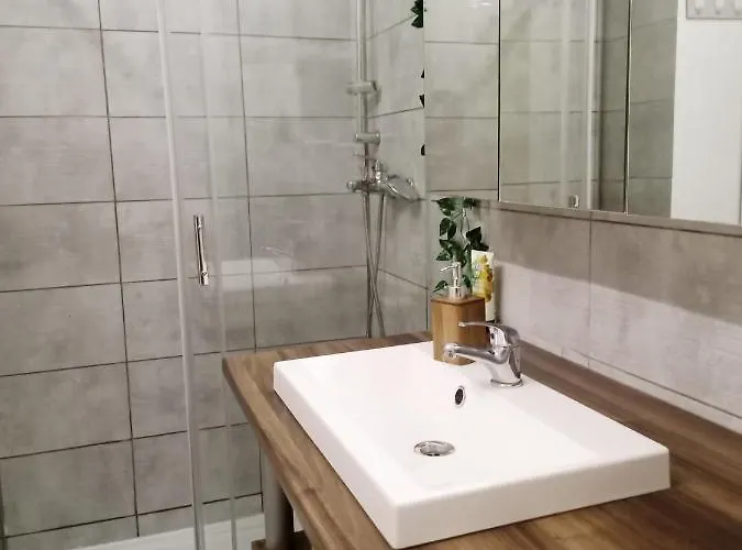 アパート Old Center リエカ